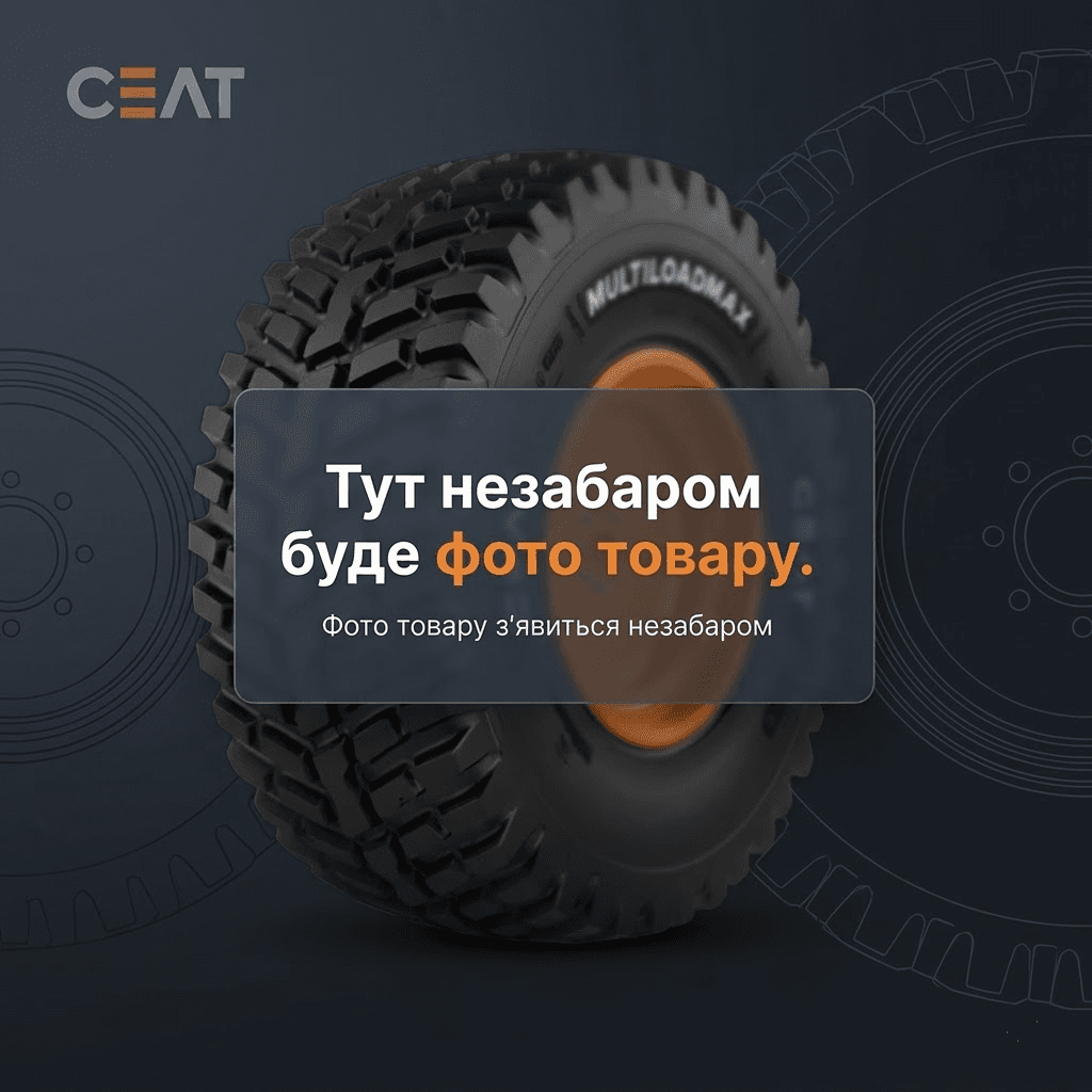Шина 10.00-16 TL 10PR (119A8) TD300 Trelleborg